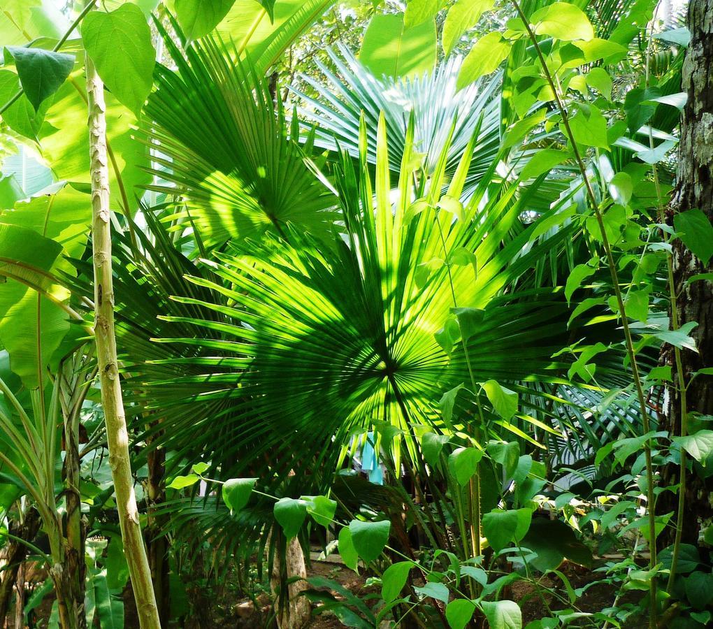 Secret Garden Resort Patnem Beach Exterior photo